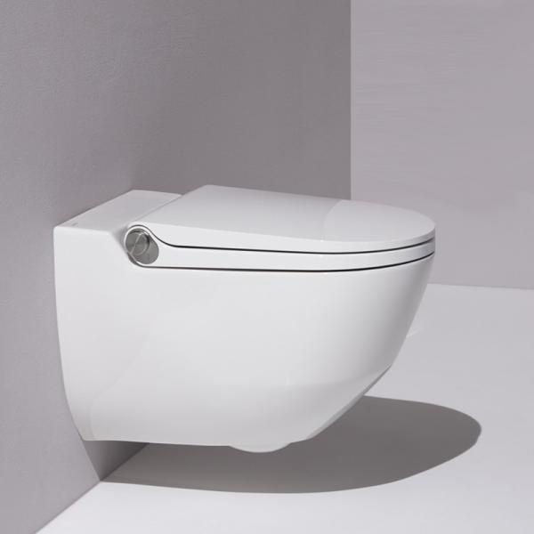 Laufen Riva Duschtoilet - rimless og LCC - Inkl. s&aelig;de