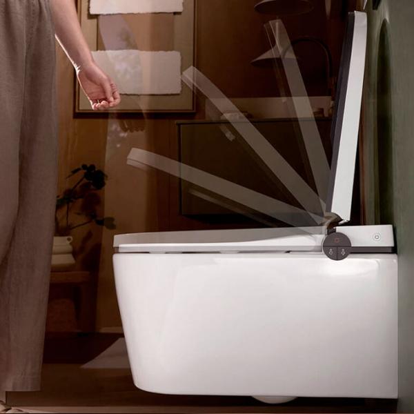 hansgrohe LavaPura Element S væghængt bidettoilet hansgrohe LavaPura Element S væghængt bidettoilet